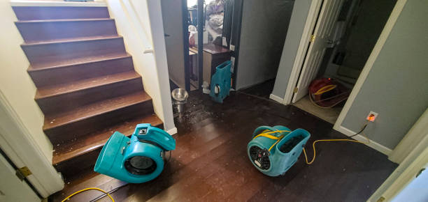 Best Water damage restoration cost  in Corinth, TX