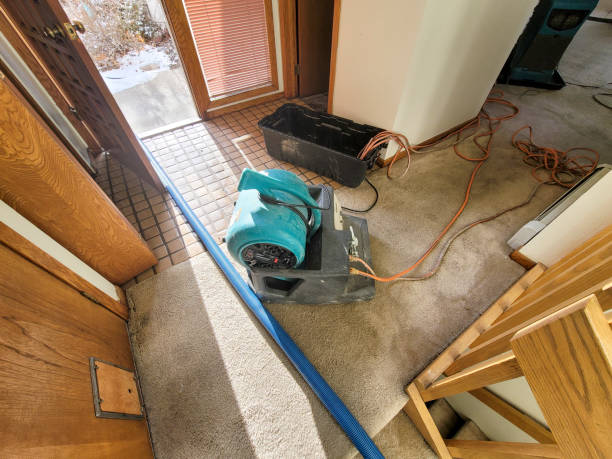 Best Commercial water damage restoration  in Corinth, TX