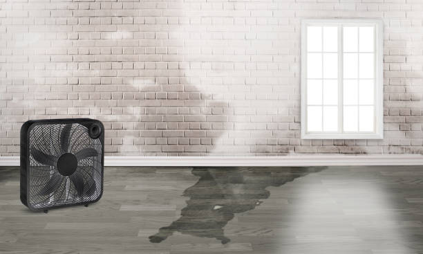 Water damage restoration experts in Corinth, TX