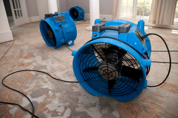Best Flood damage cleanup  in Corinth, TX