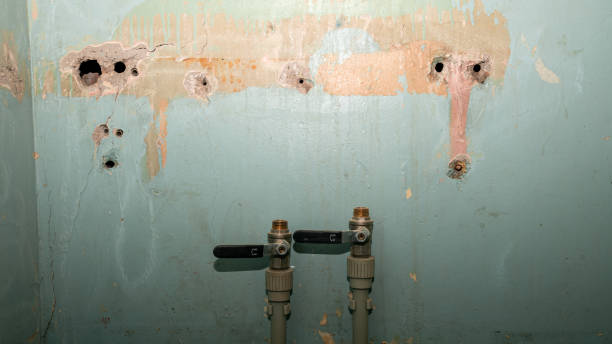 Best Local water damage restoration  in Corinth, TX
