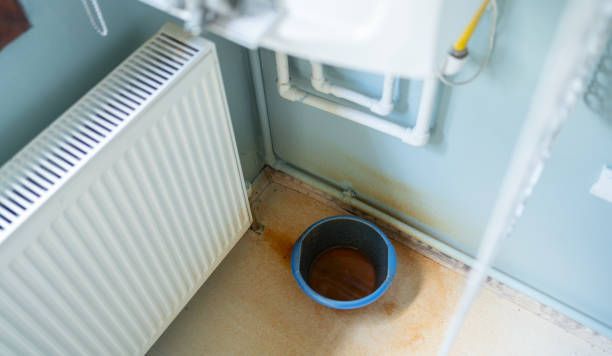 Best Flood damage cleanup  in Corinth, TX