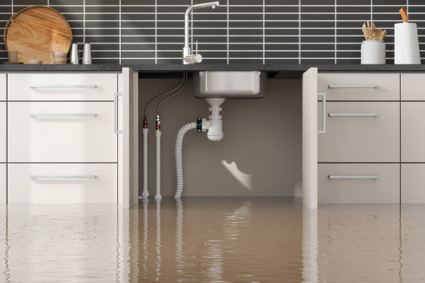 Best Sewage cleanup and water damage restoration  in Corinth, TX