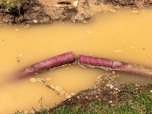 Best Water damage restoration insurance claims  in Corinth, TX